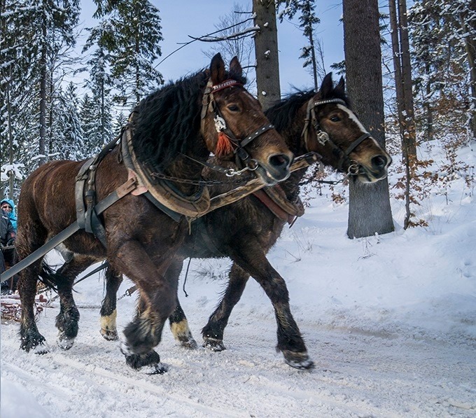 Kulig w górach