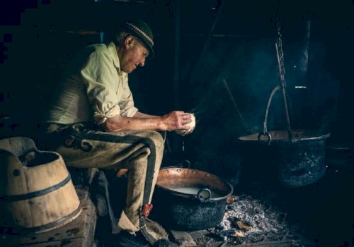 Co to jest żentyca? Właściwości, smak i tradycja góralska