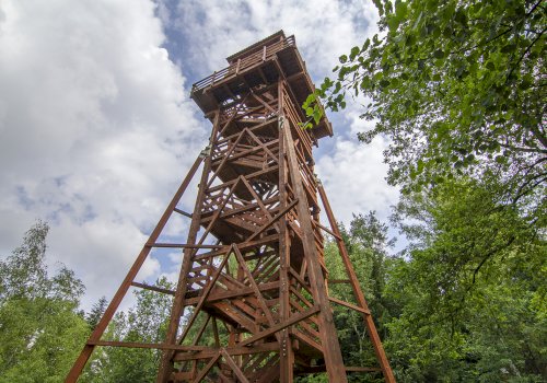 Wieża widokowa na Polczakówce i najlepsze miejsca na podziwianie pięknych widoków