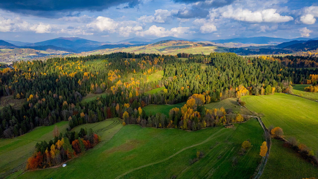Stare Wierchy szlak w Gorcach