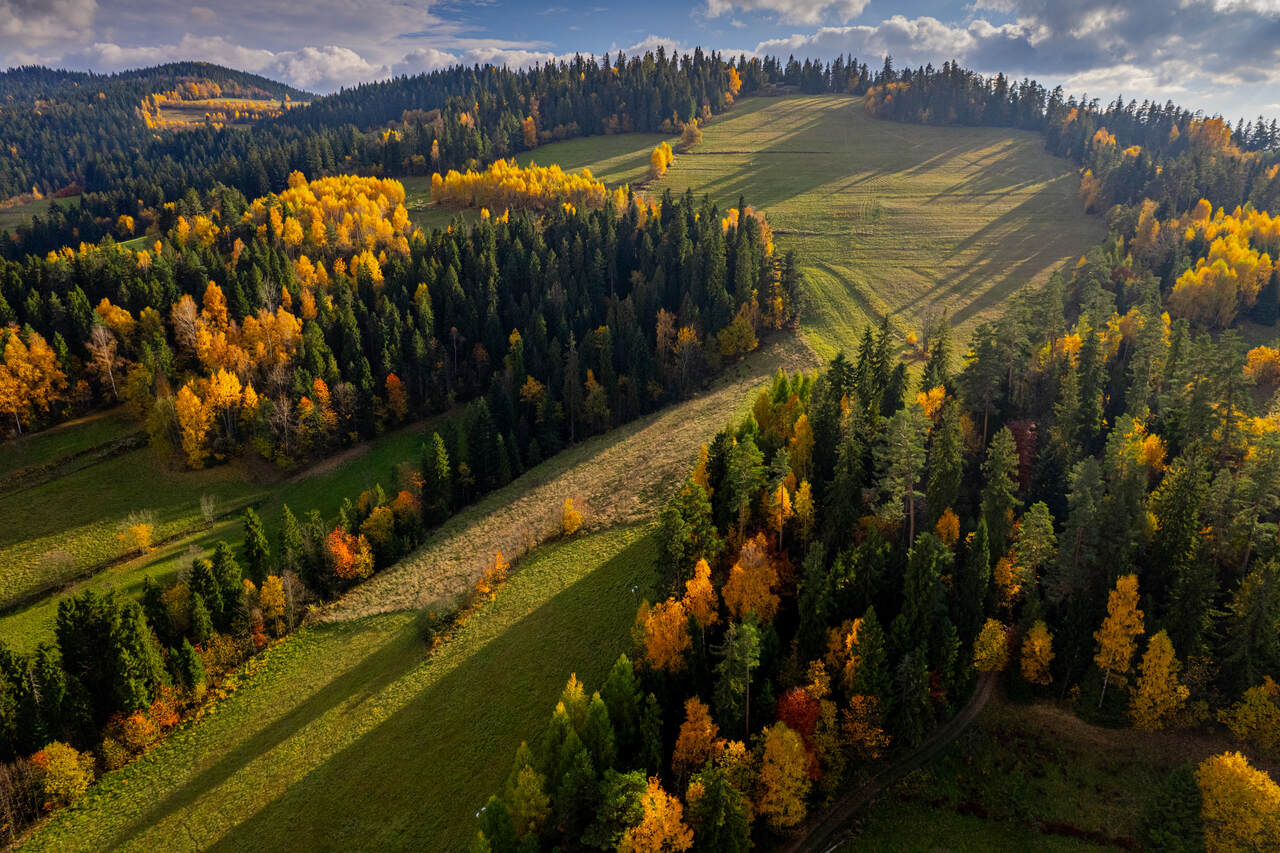 Gorce jesienią