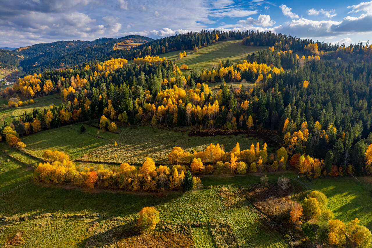 Maciejowa Rabka Zdrój Maciejowa Rabka Zdrój