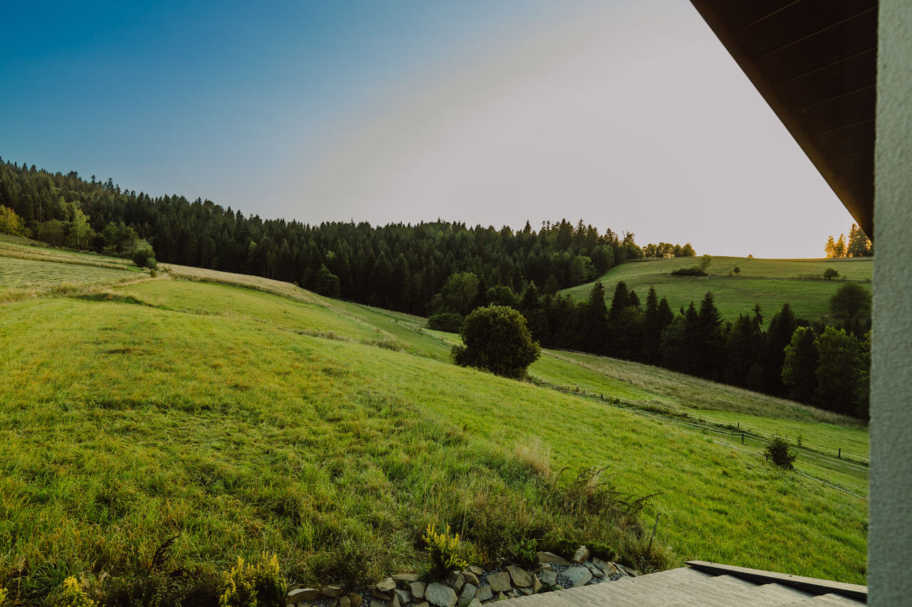 Widok na pola