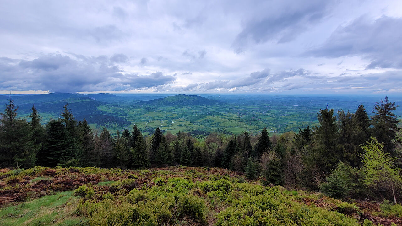 Śnieżnica Beskid Wyspowy